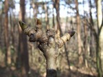 DSCF4001.jpg