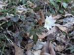 DSCF4028.jpg