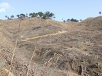 DSCF4040.jpg