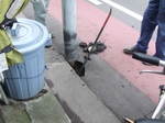 DSCF4289.jpg
