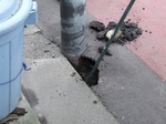 DSCF4290.jpg
