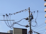 DSCF4520.jpg