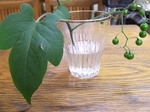 DSCF4868.jpg