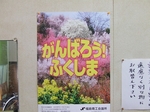 DSCF4887.jpg