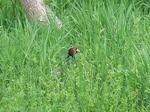 DSCF4974.jpg