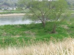 DSCF4986.jpg