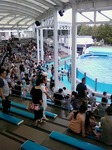 画像-0002.jpg