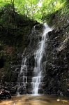 E7D008679.jpg