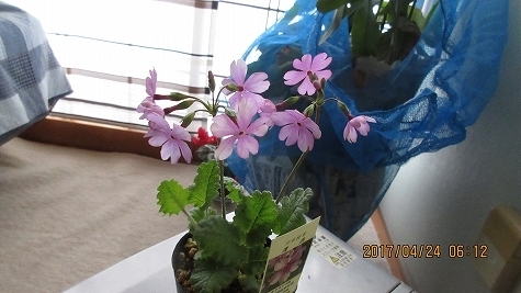 IMG_0160.jpg