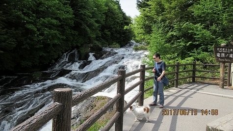 IMG_0330.jpg
