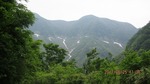 IMG_0342.jpg