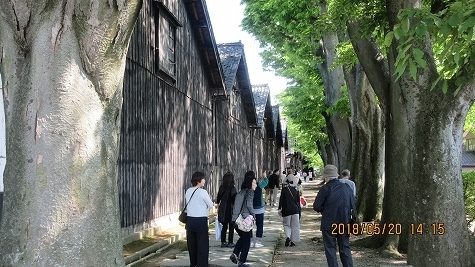 IMG_0970.jpg