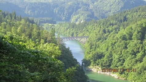 IMG_1130.jpg