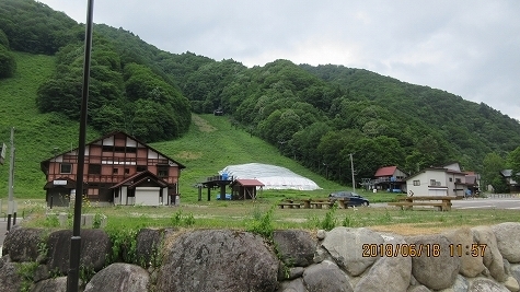 IMG_1161.jpg