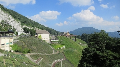 IMG_1194.jpg