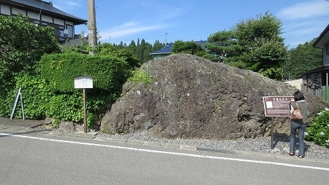 IMG_1221.jpg