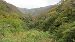 IMG_1329.jpg