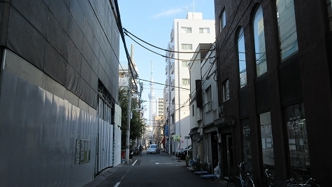 IMG_1375.jpg