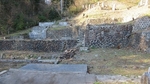 IMG_1399.jpg