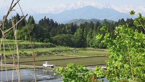 IMG_1660.jpg