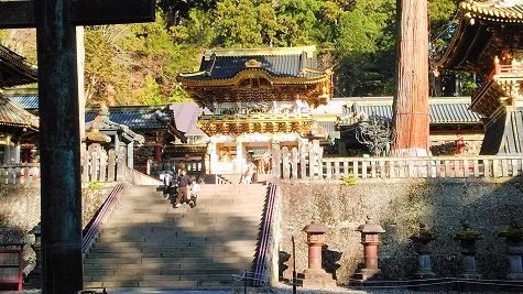 IMG_20181119_084200.jpg