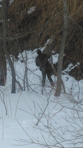 IMG_20200301_130108.jpg