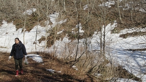 IMG_2476.jpg
