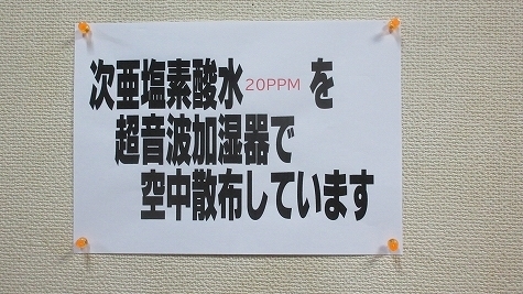 IMG_2579.jpg