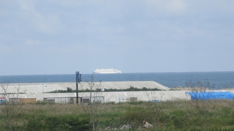 IMG_2868.jpg