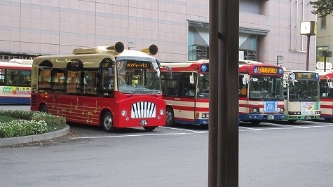 IMG_2893.jpg
