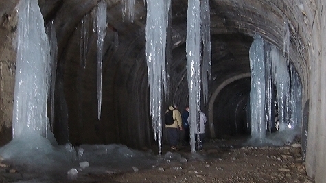 P1170546.jpg