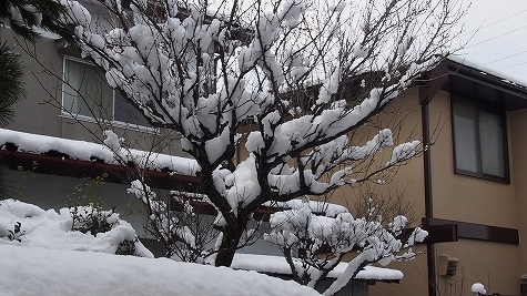 P1310662.jpg