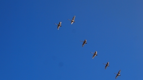 P2070301.jpg