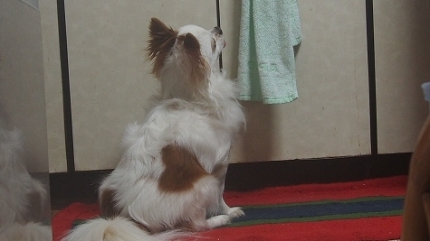 P2090682.jpg