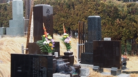 P2150724.jpg