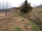 P3181565.jpg