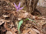 P4151680.jpg