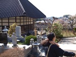 P4172600.jpg