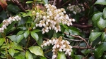 P4190617.jpg