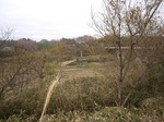P4221715.jpg