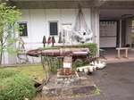 P5012675.jpg