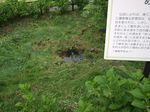 P5231100.jpg