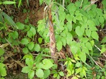 P7012012.jpg