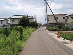 P8161442.jpg