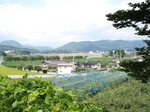 P8161448.jpg