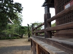 P9190189.jpg