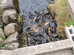 PA020255.jpg