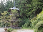 PA020357.jpg