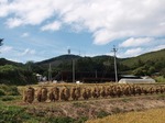 PA031787.jpg