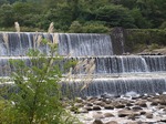 PA031861.jpg